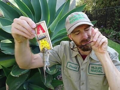 Fort Myers pest control